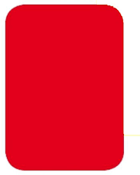 Schiedsrichterkarte Rot